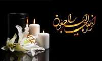 پیام تسلیت دکتر علی حیرانی معاون غذا و دارو دانشگاه علوم پزشکی هرمزگان به مناسبت درگذشت مادر گرانقدر جناب آقای دکتر پژمان شاهرخی رئیس دانشگاه علوم پزشکی 